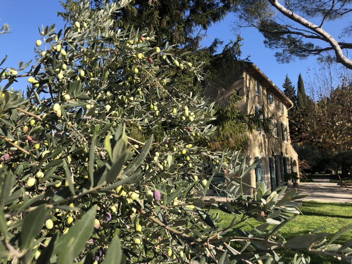 Desir De Provence Bed and Breakfast Sarrians Buitenkant foto